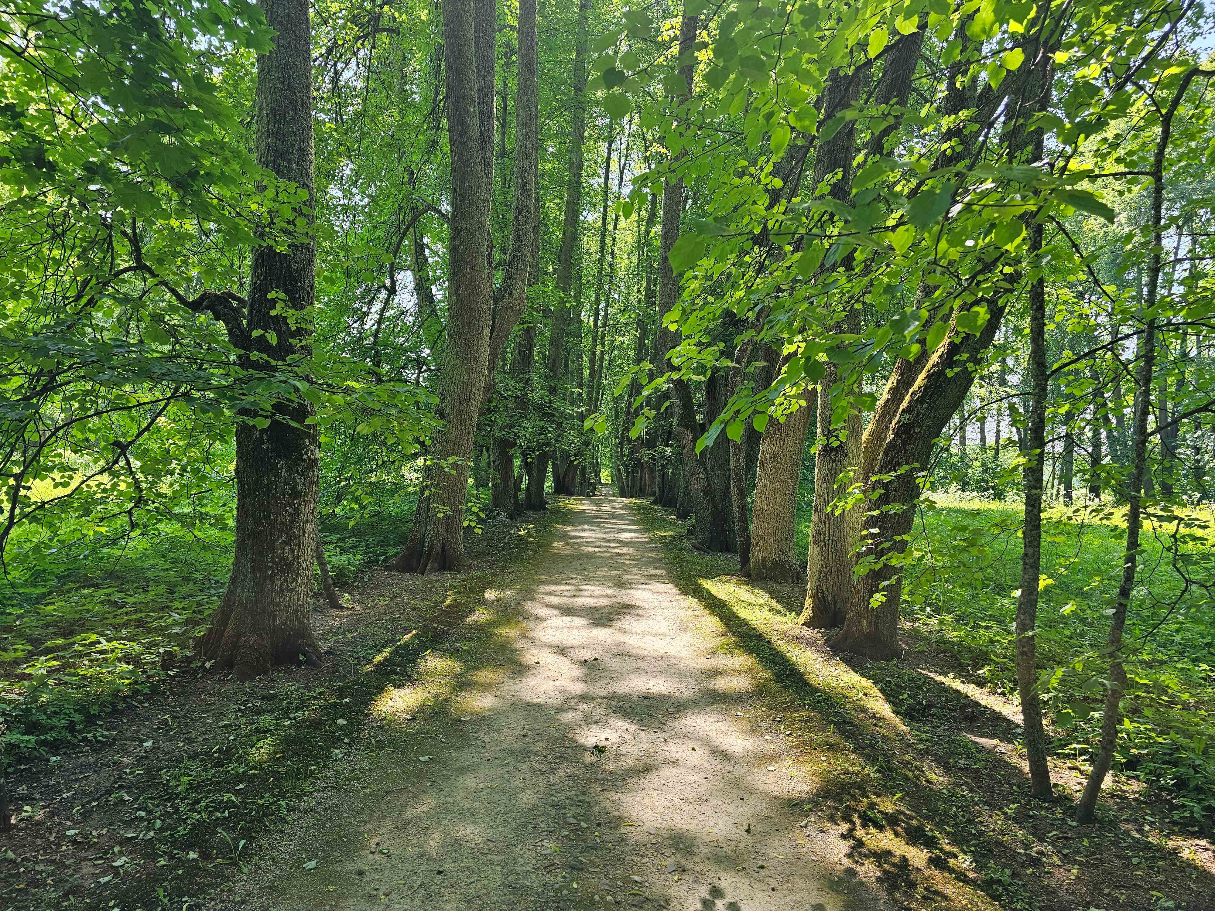 Петровское